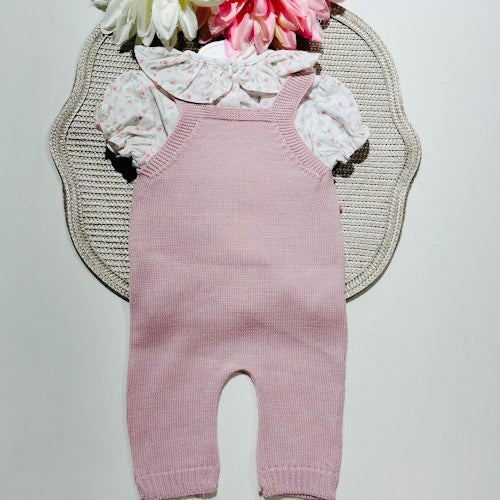 Conjunto Flor - Jardineira e camisa - 1 aos 12M