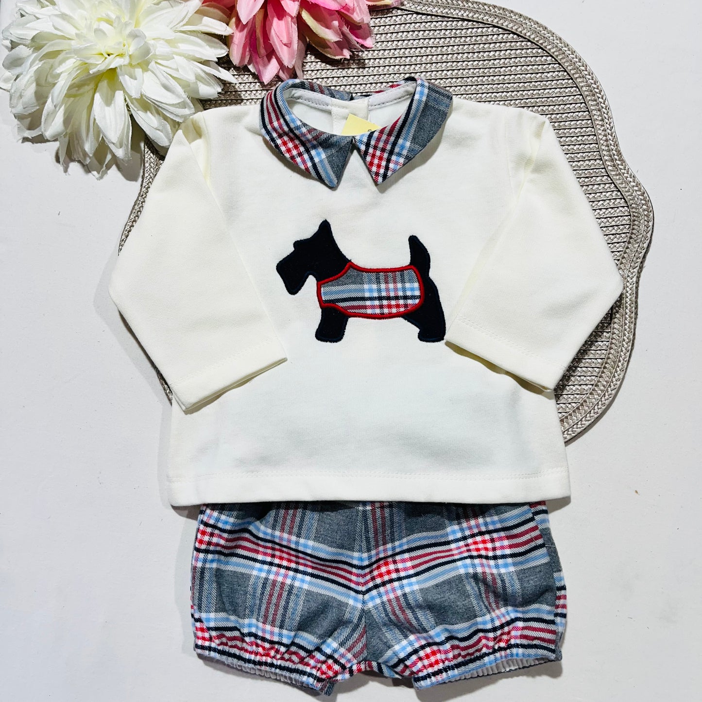 Conjunto camisa e calção xadrez de bebé - Azul - 6 e 12M